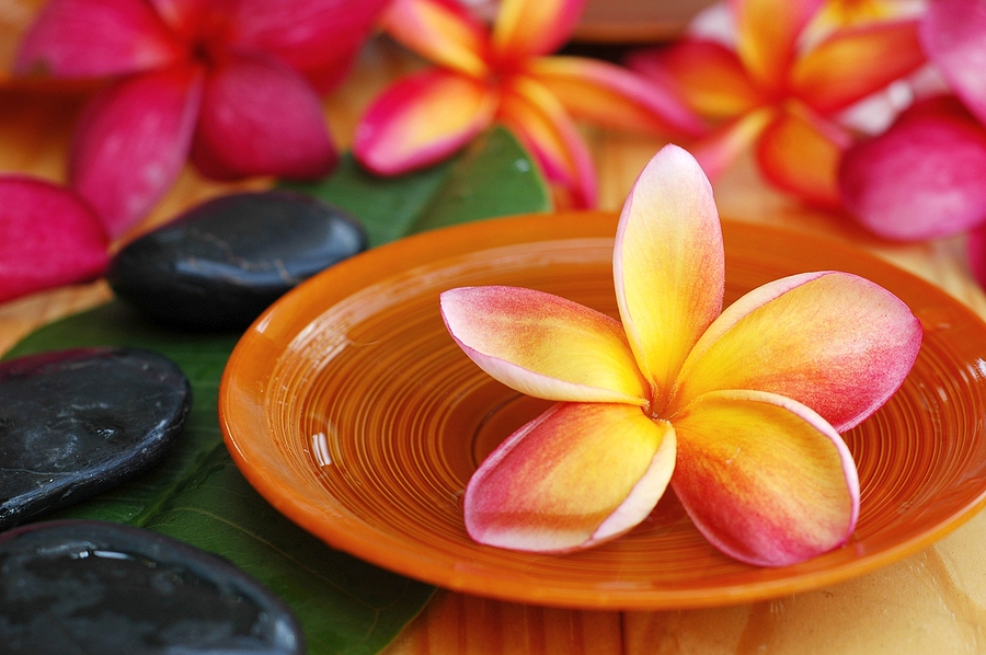 Comprehensive Health & Wellness in La Mirada, Placentia, and Downey, CA: A Path to Total Well-Being